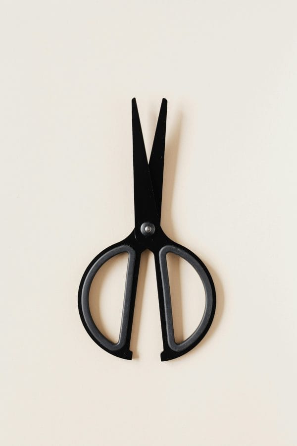 Straight Blade Scissor