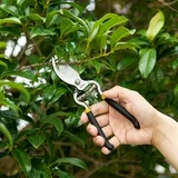 Pruning Shears
