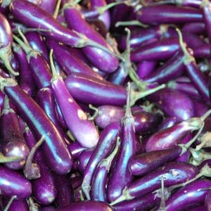 bhutan, organic, eggplant, eggplant, eggplant, eggplant, eggplant, eggplant