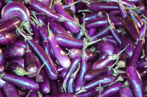 bhutan, organic, eggplant, eggplant, eggplant, eggplant, eggplant, eggplant